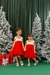 Imagem do Vestido Vermelho Linho