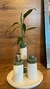 Kit Lavabo Noronha - comprar online