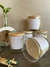 Vela Linha Classica - Bamboo na internet