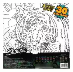 MARCADOR SHARPIE PERMANENTES PUNTA FINA ED.LIMITADA X 30 UNIDADES - comprar online