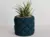 Maceta Tela (6 cm) - comprar online