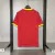 Camisa Guinea 24-25 - comprar online