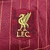 Camisa Liverpool 24-25 polo na internet