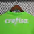 Camisa Palmeiras 23-24 Goleiro verde