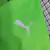 Camisa Palmeiras 23-24 Goleiro verde - Totti Store