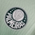 Camisa Palmeiras 22-23 Treino verde na internet