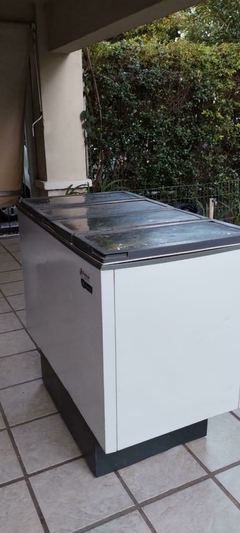 FREEZER / REFRIGERADOR HORIZONTAL 300 L - comprar online