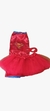 Capa + antifaz + tutu.