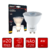 Lampada LED Dicróica 4W 2700K Iluminação Decorativa Bivolt Avant - Zbrothers