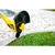 Imagem do APARADOR DE GRAMA 1000W AGV1000 VONDER