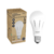 Lampada Led De Emergência Tipo Pera 9W 6000K Avant