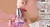 Carrusel Parfums Net