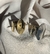 Imagen de Anillo RAYUELA.