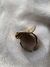Anillo PITANGA. - tienda online