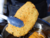 Milanesa de pata y muslo de pollo 1kg en internet