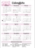 Agenda Inicial Rosa na internet