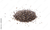 CHIA PREMIUM