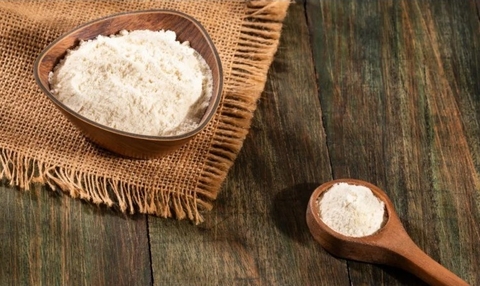CEBOLA EM PÓ