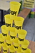 Vasos Pope en internet