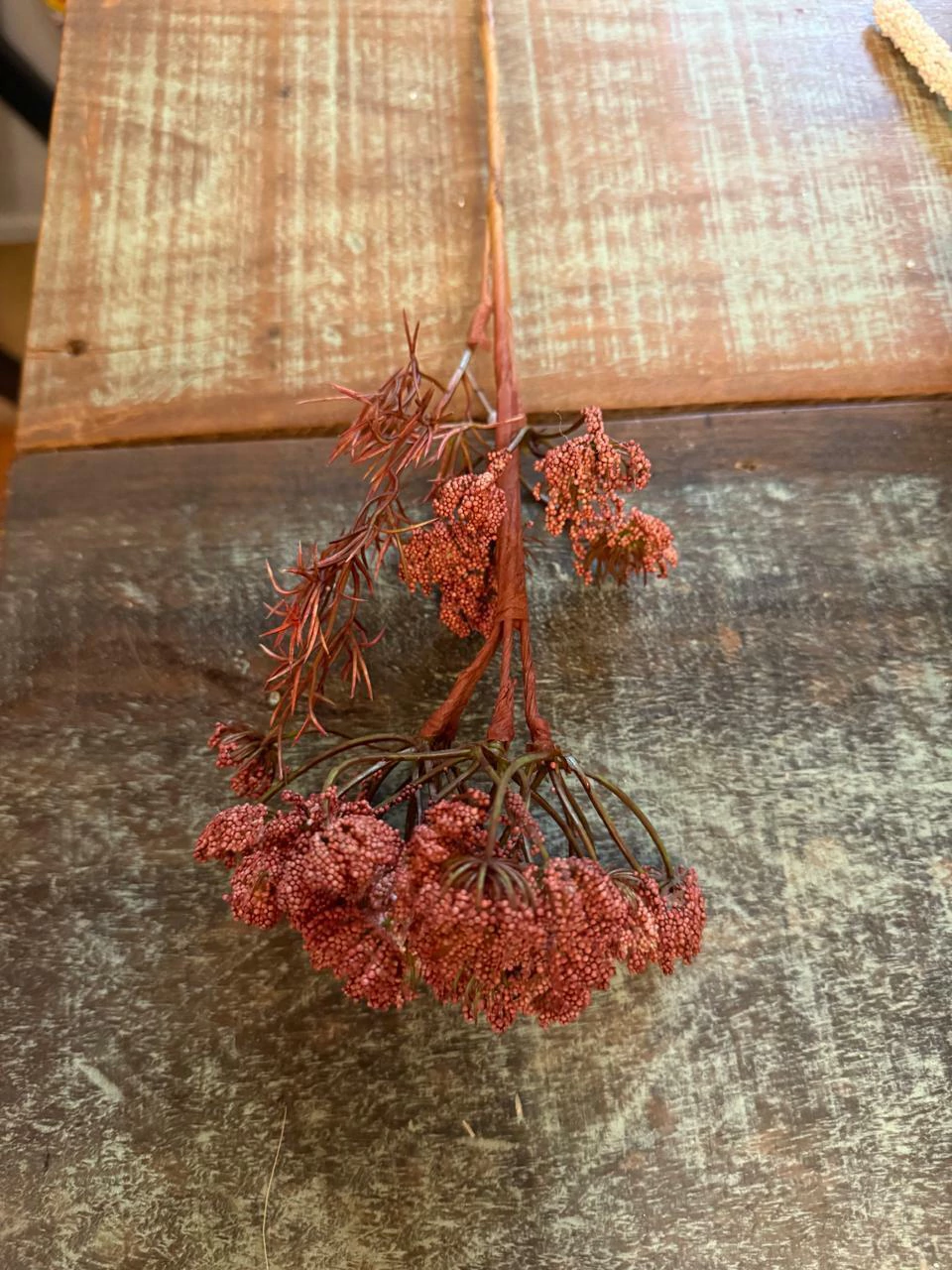 Galho de flor vermelha