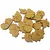 Ogam das Folhas 25 Peças em Mdf + 1 Folheto - comprar online