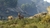 Grand Theft Auto V: Edição Premium & Pacote Tubarão-Branco - loja online