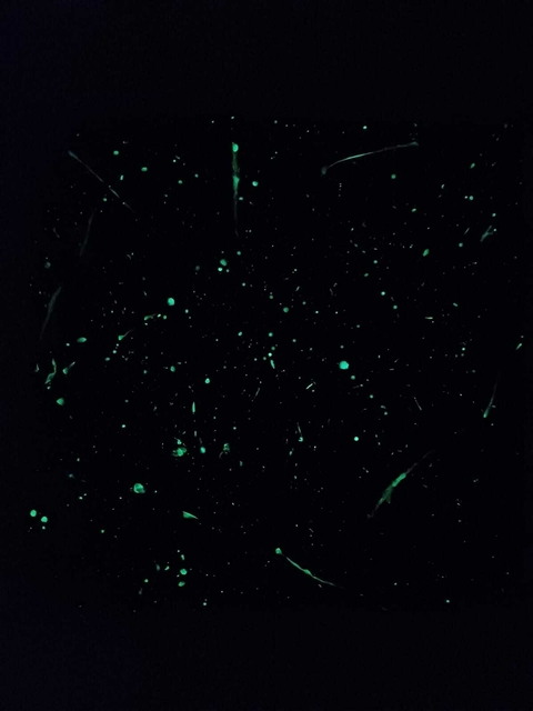 Placa 3D Diamante - Color Negro GLOW IN THE DARK