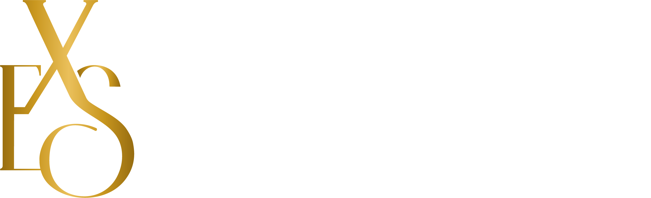 Exclusiva Store