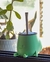 MATE CULO - comprar online