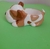 ANIMALITOS - con el corazon 3d