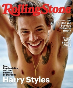 Poster harry rolling stone