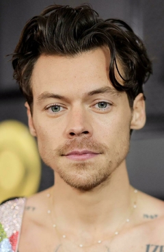 Poster harry styles
