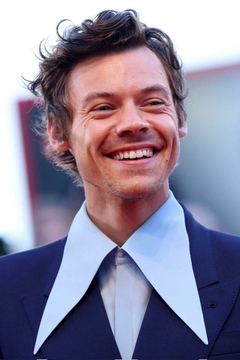 Poster harry styles