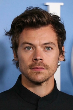 Poster harry styles