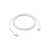 CABO DE 2 ENTRADAS USB-C (2M) - ORIGINAL APPLE - Vissantini 