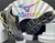 Mizuno Prophecy Masculino
