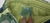 Short de baño Camuflado Bb Cheeky L - ARMARIO DE SORPRESAS 