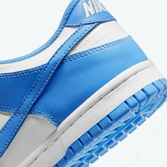Nike Dunk low blue na internet