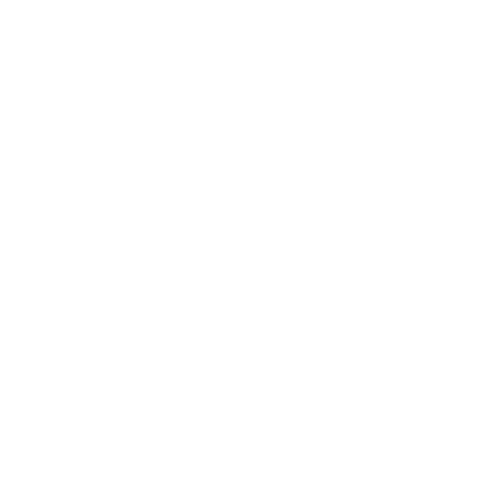 Vital Vida