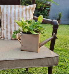 FUNDA RAYA BEIGE en internet