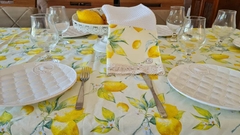 REPASADOR TELA NIDO LIMONES - comprar online