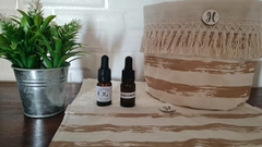 ESENCIA CON GOTERO PAPAYA Y MELON - comprar online