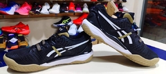 ASICS HUGO BOOSS en internet