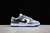 Dunk Low GS