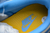 Imagem do Dunk Low SB
