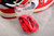 NBA x Nk Dunk Low EMB 75th AnniversarY - Evolves Imports
