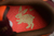 2023 NK SB Dunk LowYear of the Rabbit na internet
