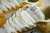 Nike Dunk Low Retro SE NN Sun CLub SB - Evolves Imports