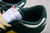 Dunk Low Noble Green na internet