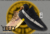 Banner de Evolves Imports